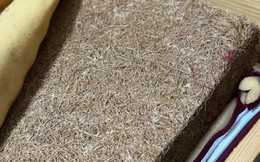 5 thứ trong nhà dễ là ổ phát tán Formaldehyde, hít mỗi ngày mà cứ tưởng vô hại