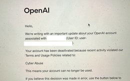 Chuyên gia bảo mật bị OpenAI khóa tài khoản "oan" chỉ vì làm việc này