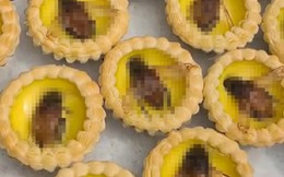 Bánh tart trứng phủ bọ nước giống gián khổng lồ gây tranh cãi tại Trung Quốc