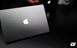 Vì sao mang logo quả táo phát sáng trở lại? Lãnh đạo Apple đáp bằng bốn chữ này