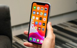 Cựu nhân viên Apple chỉ ra sai lầm của nhiều người khi dùng iPhone