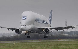Airbus BelugaST-5: ‘Cá voi trắng’ của bầu trời chính thức nghỉ hưu
