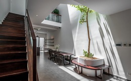 Những dấu hiệu trong không gian sống mà người xưa coi là “tụ khí tốt”, nay khoa học giải thích ra sao?