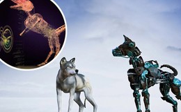 Kỳ tích công nghệ: Trí tuệ nhân tạo tự phát triển thị giác cho sinh vật ảo giống hệt quá trình tiến hóa tự nhiên