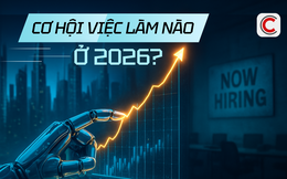 “Tôi như bị phản bội”: Tiếng than xé lòng của giám đốc Microsoft 62 tuổi mất việc sau 31 năm cống hiến, AI chẳng từ một ai