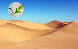 Phát minh làm rung chuyển ngành xây dựng: Tạo ra bê tông từ thứ tưởng không thể dùng, bước ngoặt cho vật liệu phổ biến thứ 2 thế giới