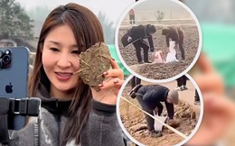 Kiếm gần 1 triệu đô nhờ mổ lợn, cô gái trẻ khiến đất quanh nhà hóa bùa hộ mệnh bán giá đắt hơn vàng