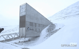 "Hầm tận thế" mở cửa: Việt Nam đã gửi gì?