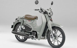 Huyền thoại xe số vạn người mê Honda Super Cub lột xác ngoạn mục, giới đại gia Việt đứng ngồi không yên