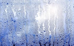 Một thương hiệu máy hút ẩm nâng gấp 10 lần lượng nhập hàng đón mùa nồm sau Tết