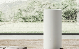 Nồm ẩm, tường sàn nhớp nháp: Máy hút ẩm hay máy lọc không khí tích hợp hút ẩm mới đủ đô?