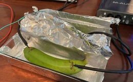 Giới sành âm thanh ngã ngửa vì không thể phân biệt được cáp đắt tiền và một quả chuối xanh