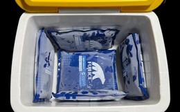 Fuji Ice: Tiên phong công nghệ sản xuất đá gel giữ lạnh trong bảo quản