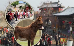 Ngôi làng cổ 600 năm tuổi tại Trung Quốc đổi đời nhờ đóng phim: Cả người và vật nuôi đều thành diễn viên