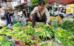 3 loại rau rẻ bèo ở chợ Việt nhưng lại tốt cho phong độ đàn ông: Có loại chỉ vài nghìn một bó