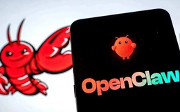 Cơn sốt “nuôi tôm” lan khắp Trung Quốc nhưng cảnh báo an ninh mạng cho thấy nhiều rủi ro đáng lo