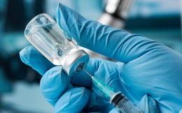 ChatGPT giúp tạo ra phương pháp điều trị ung thư đột phá sau khi chẩn đoán bệnh ở chó