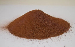 Vi khuẩn và nước tiểu phi hành gia có thể là chìa khóa xây dựng những ngôi nhà đầu tiên trên Sao Hỏa