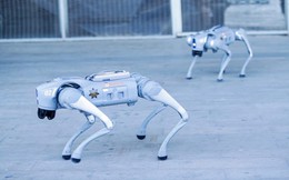 Robot bảo vệ AI: Canh gác những trung tâm dữ liệu vô giá