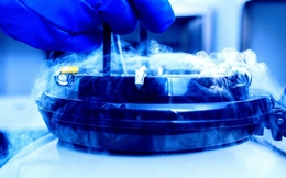 Não chết rồi vẫn “sống lại”? Thí nghiệm đóng băng sâu gây chấn động giới khoa học toàn cầu