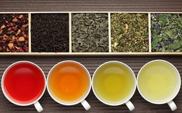 Tại sao ba loại cây trồng chính để sản xuất đồ uống trên thế giới là trà, cà phê và ca cao đều mang vị đắng?