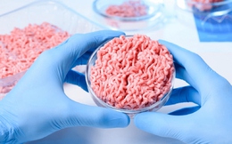 Vì sao người phương Tây mê thịt tảng còn người Việt Nam, Trung Quốc hay Hàn Quốc lại chuộng thịt thái nhỏ?