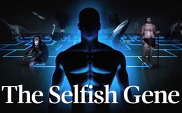 Vì sao hy sinh lại giúp chiến thắng trong tiến hóa khi gen ích kỷ vẫn âm thầm chi phối mọi hành vi sống còn