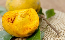 Dinh dưỡng top đầu nhưng vẫn bị quay lưng: 2 loại quả siêu thực phẩm ít người ăn ở Việt Nam