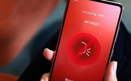 Nhận được cuộc điện thoại đọc đúng ngày sinh của con, một người bị dẫn dụ vay online 30 triệu đồng rồi chuyển cho kẻ lừa đảo