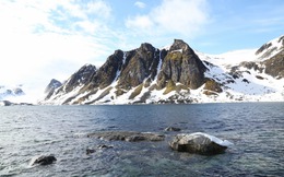 Vòng Bắc Cực chạm ngưỡng 30 độ C, 2026 sẽ là năm nóng nhất lịch sử?