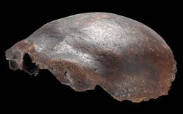 Hộp sọ được cho là của người lai Neanderthal, từng gây chấn động khoa học: Nghiên cứu mới hé lộ sự thật bất ngờ