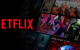 Chuyện gì đang xảy ra với Netflix Việt Nam?