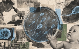 Bước ngoặt y học gây chấn động: Phòng thí nghiệm lần đầu tạo tinh trùng người, mở hy vọng cho nam giới vô tinh