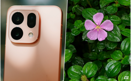 Đắm mình giữa không gian xanh của Vườn Bách thảo Singapore với OPPO Find X9s trên tay: Thì ra bình yên là đây