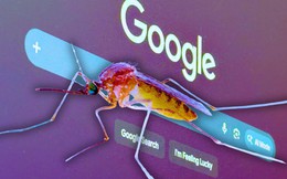 Google sắp thả 32 triệu con muỗi tại Mỹ: Công nghệ AI là thứ duy nhất giúp kế hoạch này không trở thành thảm họa