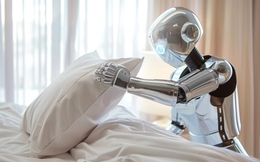 Xuất hiện khách sạn đầu tiên trên thế giới vận hành hoàn toàn bằng robot: Con người chính thức "bật bãi" khỏi ngành dịch vụ?