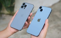 Mẫu iPhone bị khai tử tại Việt Nam sau 4 năm