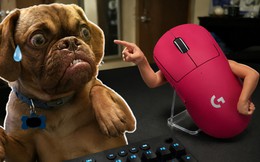 Ví khách hàng như.. cún trên Douyin, nhà phân phối của Logitech bị phạt gần 800 triệu đồng