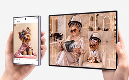 Samsung sắp mất một phần tư thị phần smartphone gập vào tay một sản phẩm còn chưa ra mắt
