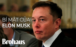 Chuyện gì đã xảy ra với Elon Musk vào năm 2008?