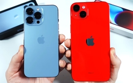 Hai chiếc iPhone cũ đáng mua hiện nay