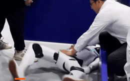 Robot mất kiểm soát, quẫy đạp dữ dội tại Hội nghị Robot Thế giới ở Trung Quốc