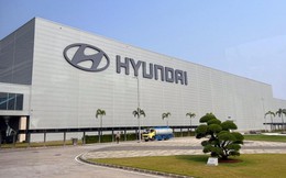 Hyundai phải xây nhà máy trước mới được bán xe, còn hãng Trung Quốc làm ngược lại