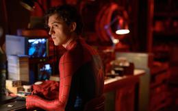 Không phải Tony Stark hay bác Ben, đây mới là người đàn ông dạy cho Spider-Man bài học đắt giá nhất