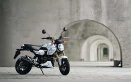 Honda MSX GROM 2027 tung bản rằn ri độc lạ khiến dân chơi xe côn tay tí hon phát sốt