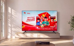 Bóc tách công nghệ Mini LED  đích thực trên TCL P8LS: Trải nghiệm thể thao đắm chìm mùa ASIAD