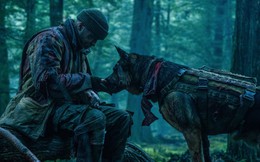 Heart of the Beast: Một người một chó, họ không đơn thuần là chủ và tớ, mà là những người anh em đồng chí thực sự
