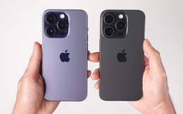 iPhone cũ đồng loạt giảm giá, nhiều mẫu Pro Max giá giảm triệu đồng