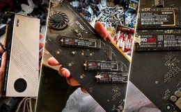 Chi 30 USD mua món đồ cũ, phát hiện “kho báu” SSD trị giá 1.500 USD bên trong