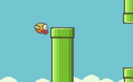 Flappy Bird và một số sai lầm của Hà Đông
